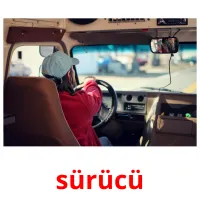 sürücü picture flashcards