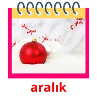 aralık Bildkarteikarten