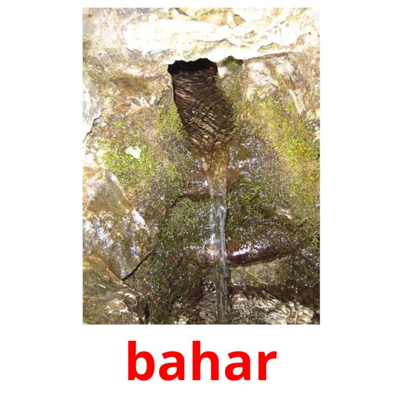 bahar picture flashcards