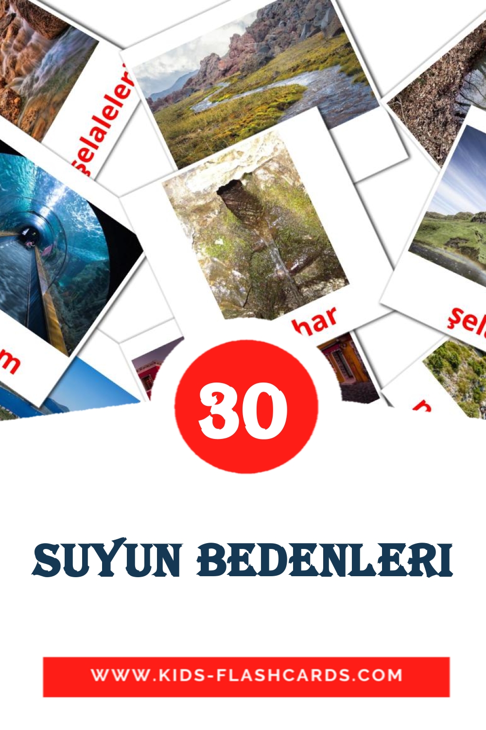30 suyun bedenleri Picture Cards for Kindergarden in turkish