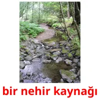 bir nehir kaynağı Bildkarteikarten