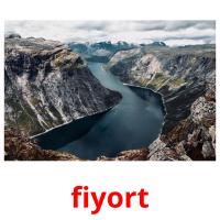 fiyort picture flashcards