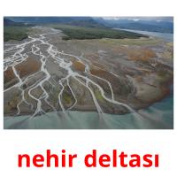 nehir deltası picture flashcards