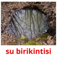 su birikintisi Bildkarteikarten