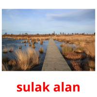 sulak alan picture flashcards