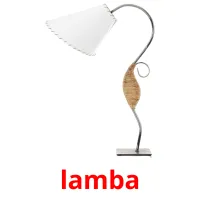 lamba picture flashcards