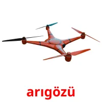 arıgözü picture flashcards