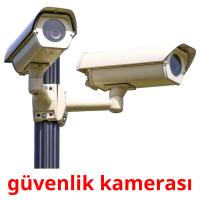 güvenlik kamerası Tarjetas didacticas