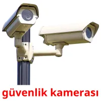 güvenlik kamerası picture flashcards