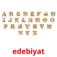 edebiyat picture flashcards