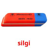 silgi flashcards illustrate