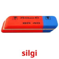 silgi Tarjetas didacticas