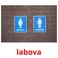 labova picture flashcards