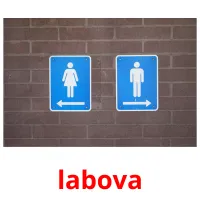 labova Tarjetas didacticas