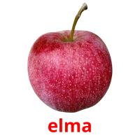 elma picture flashcards