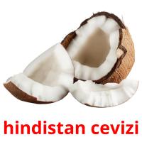 hindistan cevizi picture flashcards