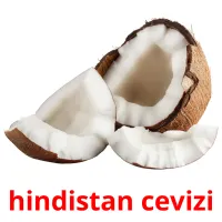 hindistan cevizi cartões com imagens