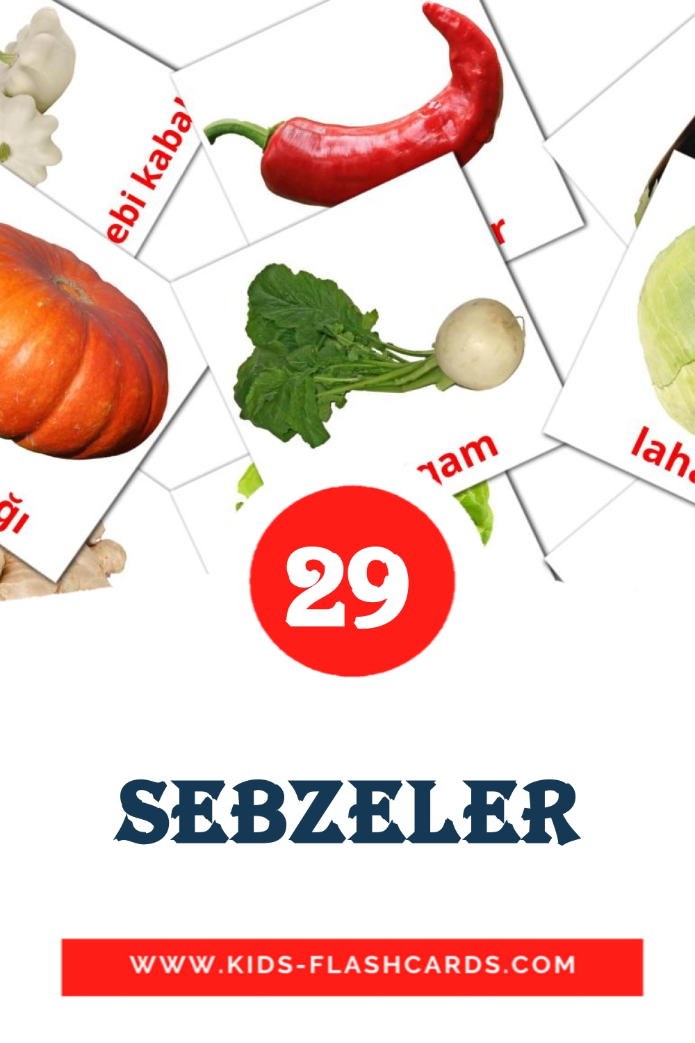 29 Sebzeler Picture Cards for Kindergarden in turkish