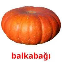 balkabağı Bildkarteikarten