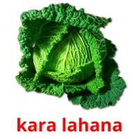 kara lahana Bildkarteikarten