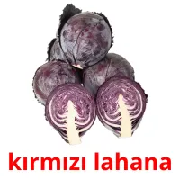 kırmızı lahana Bildkarteikarten