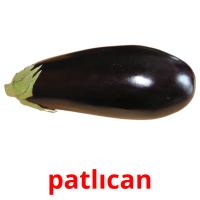 patlıcan flashcards illustrate