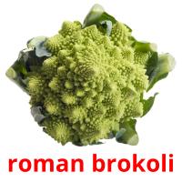 roman brokoli flashcards illustrate