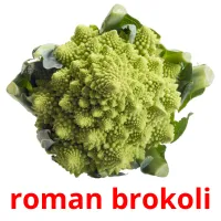 roman brokoli Bildkarteikarten