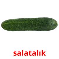 salatalık picture flashcards