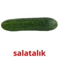 salatalık Bildkarteikarten