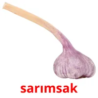 sarımsak Bildkarteikarten