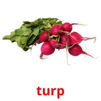 turp flashcards illustrate