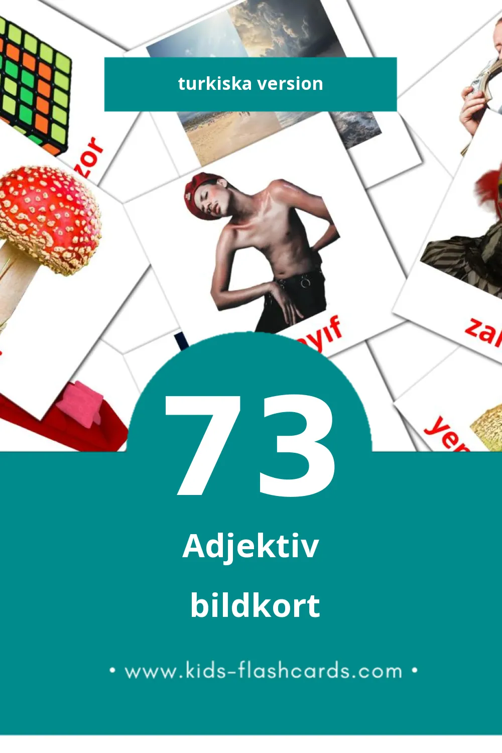 Visuella Sifatlar för småbarn (73 bildkort för barn på Turkiska)