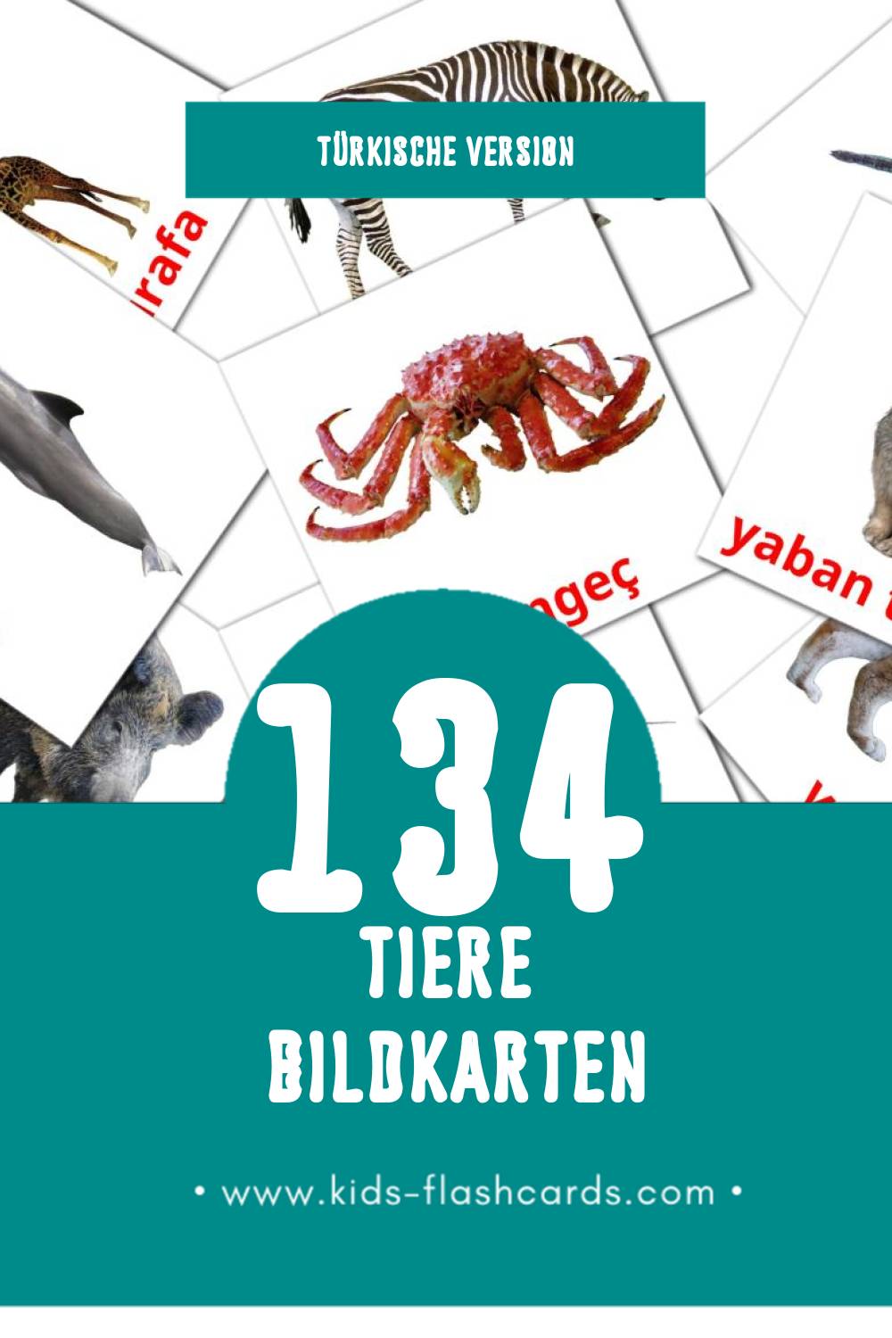 Visual Hayvanlar Flashcards für Kleinkinder (134 Karten in Türkisch)