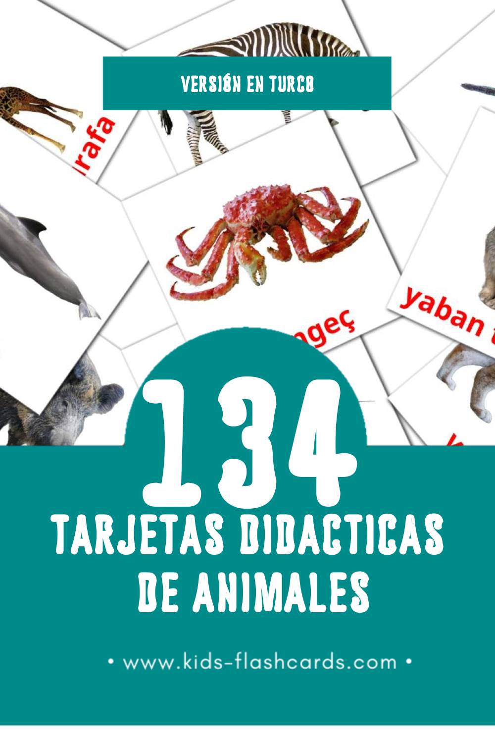 Tarjetas visuales de Hayvanlar para niños pequeños (134 tarjetas en Turco)