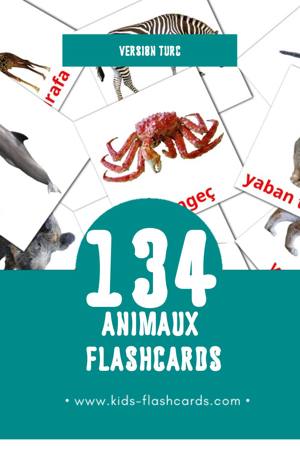 Flashcards Visual Hayvanlar pour les tout-petits (134 cartes en Turc)