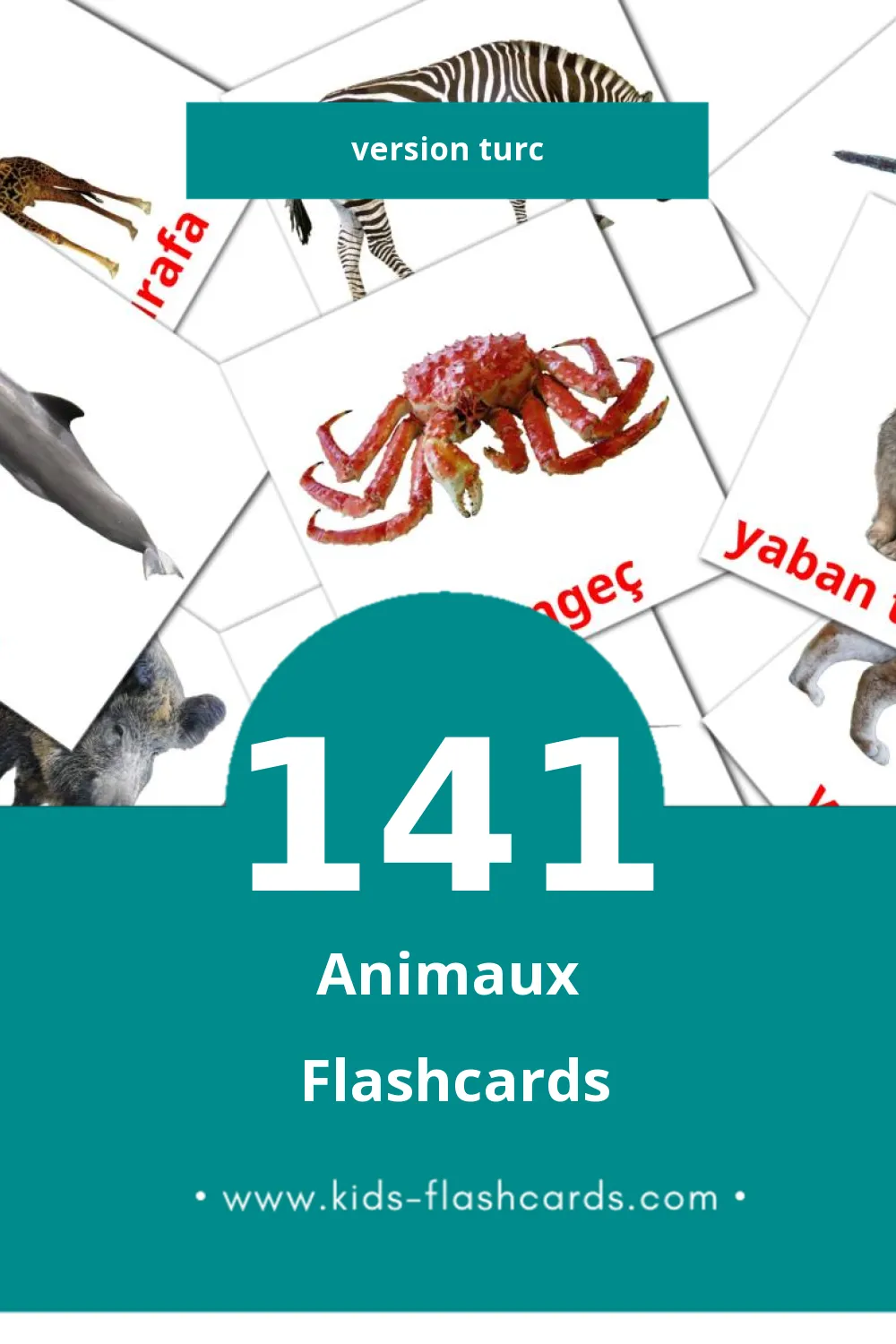 Flashcards Visual Hayvanlar pour les tout-petits (141 cartes en Turc)