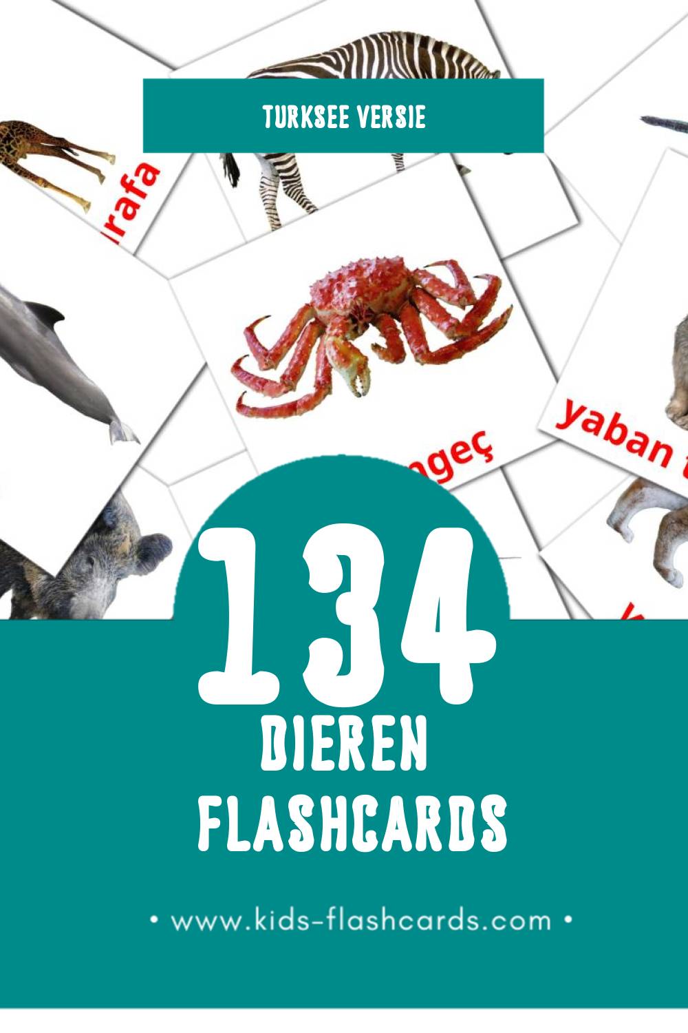 Visuele Hayvanlar Flashcards voor Kleuters (134 kaarten in het Turkse)
