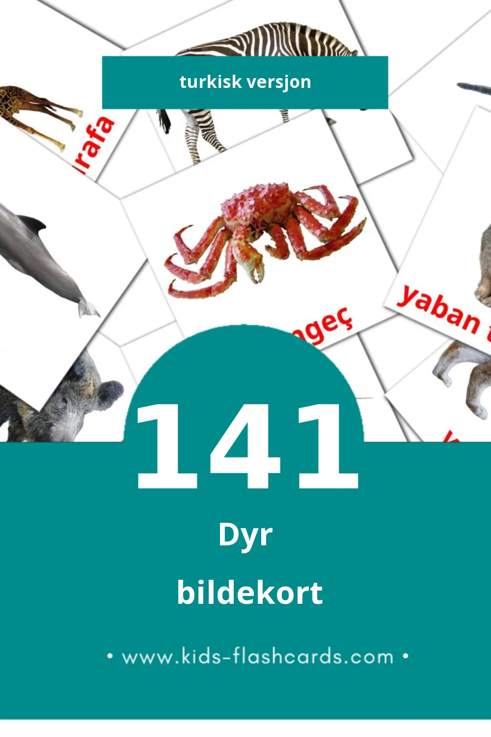 Visuelle Hayvanlar bildekort for småbarn (141 kort på Turkisk)