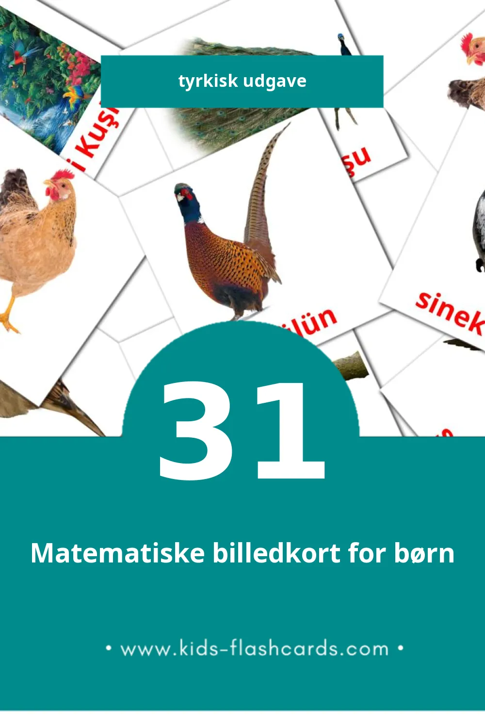 Visuelle billedkort for børn om Kuşlar til småbørn (31 kort på Tyrkisk)