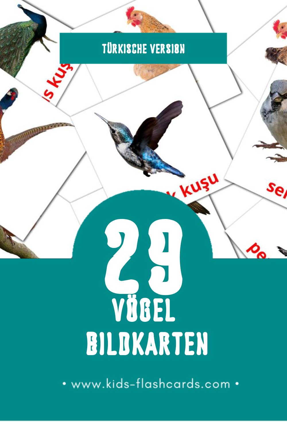 Visual Kuşlar Flashcards für Kleinkinder (29 Karten in Türkisch)