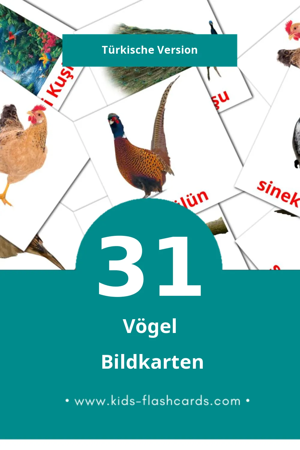 Visual Kuşlar Flashcards für Kleinkinder (31 Karten in Türkisch)