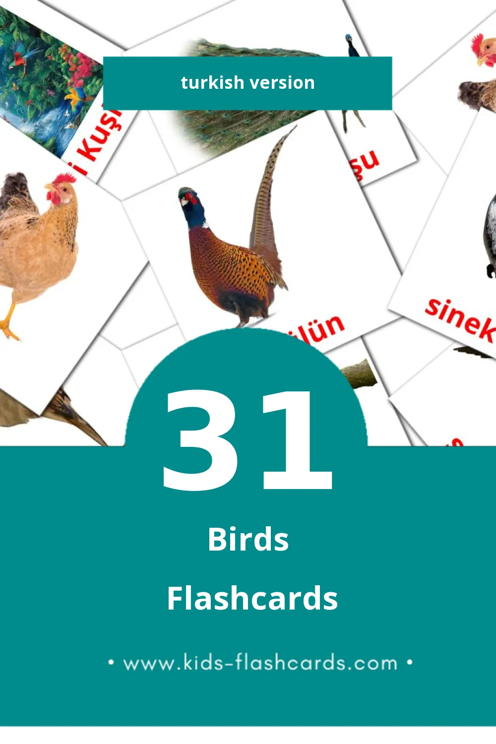 Visual Kuşlar Flashcards for Toddlers (31 cards in Turkish)