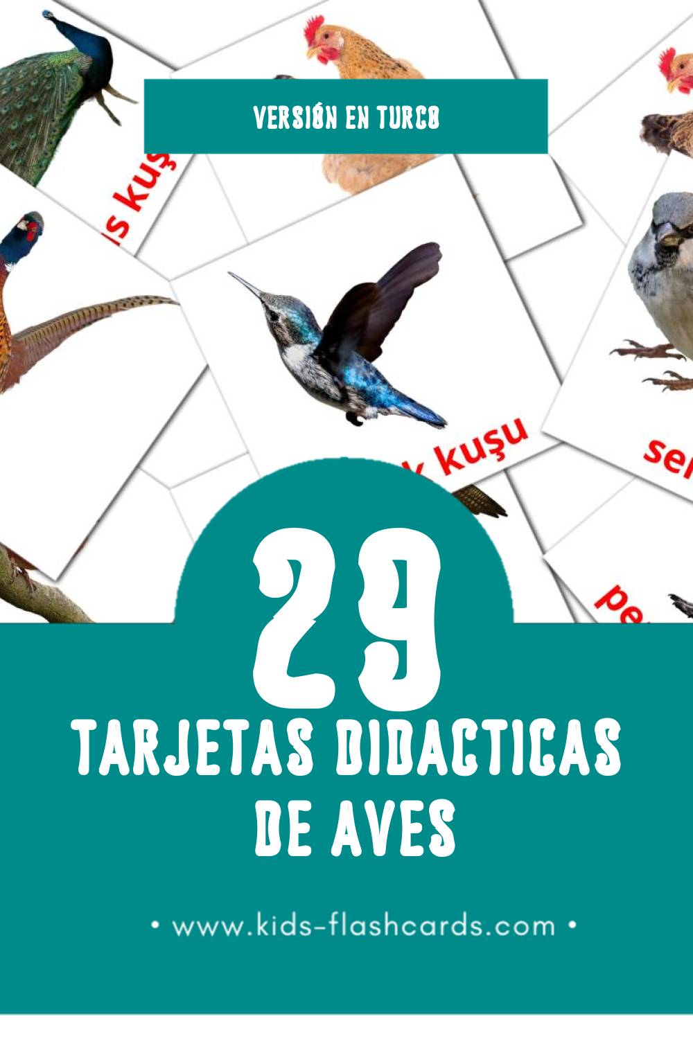Tarjetas visuales de Kuşlar para niños pequeños (29 tarjetas en Turco)