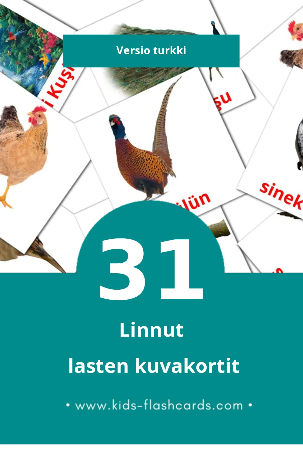 Kuşlar lasten kuvakortit pikkulapsille (31 korttia Turkkiksi)