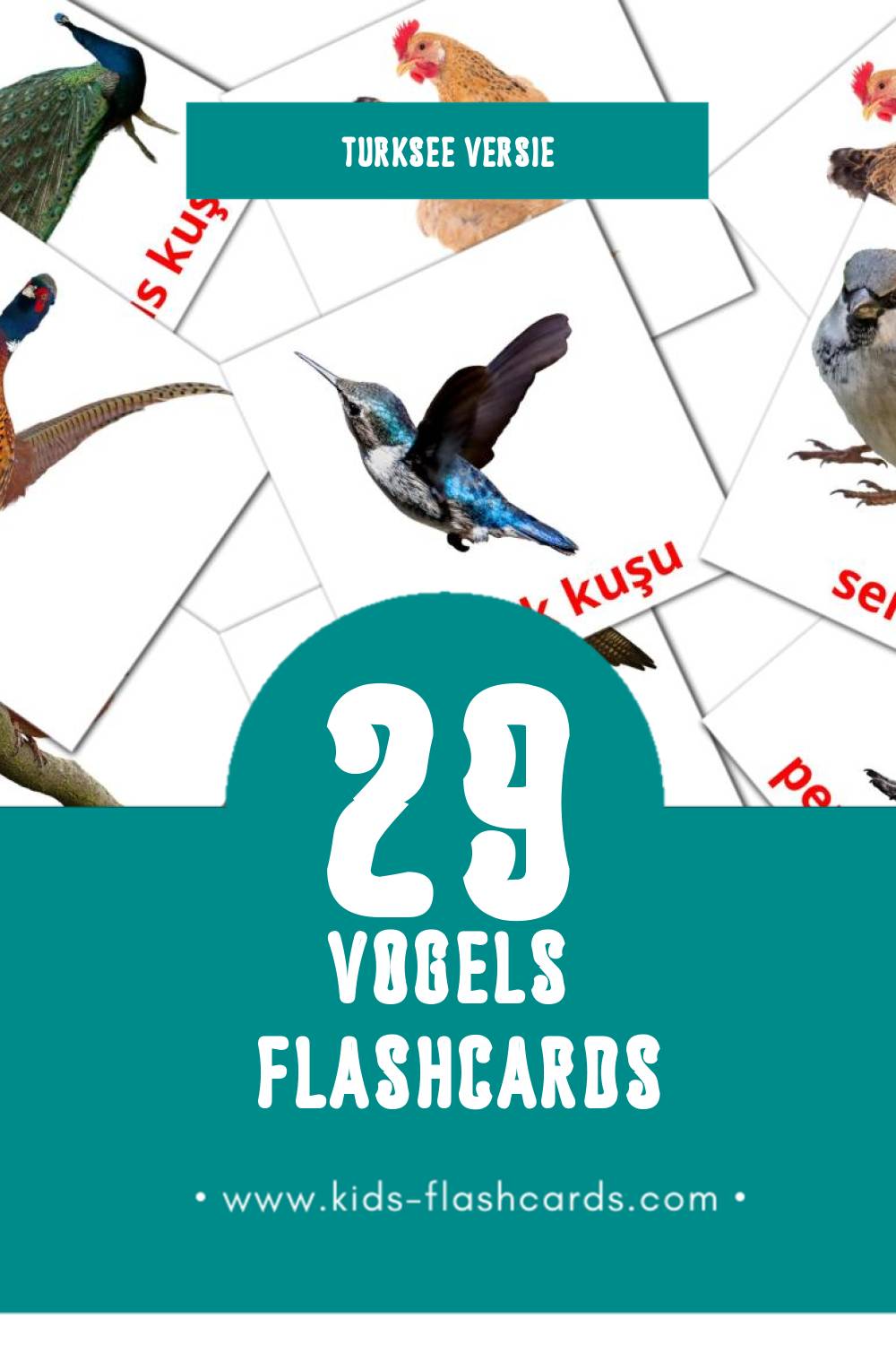 Visuele Kuşlar Flashcards voor Kleuters (29 kaarten in het Turkse)