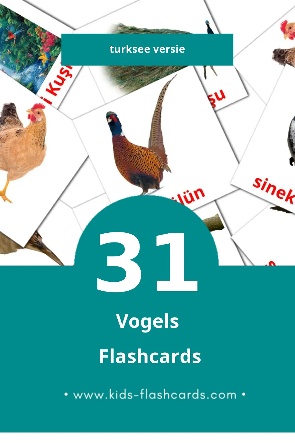 Visuele Kuşlar Flashcards voor Kleuters (31 kaarten in het Turkse)