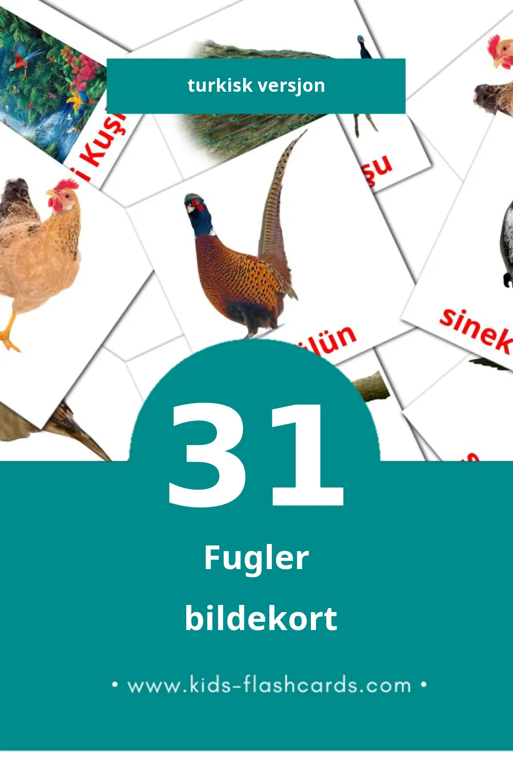 Visuelle Kuşlar bildekort for småbarn (31 kort på Turkisk)