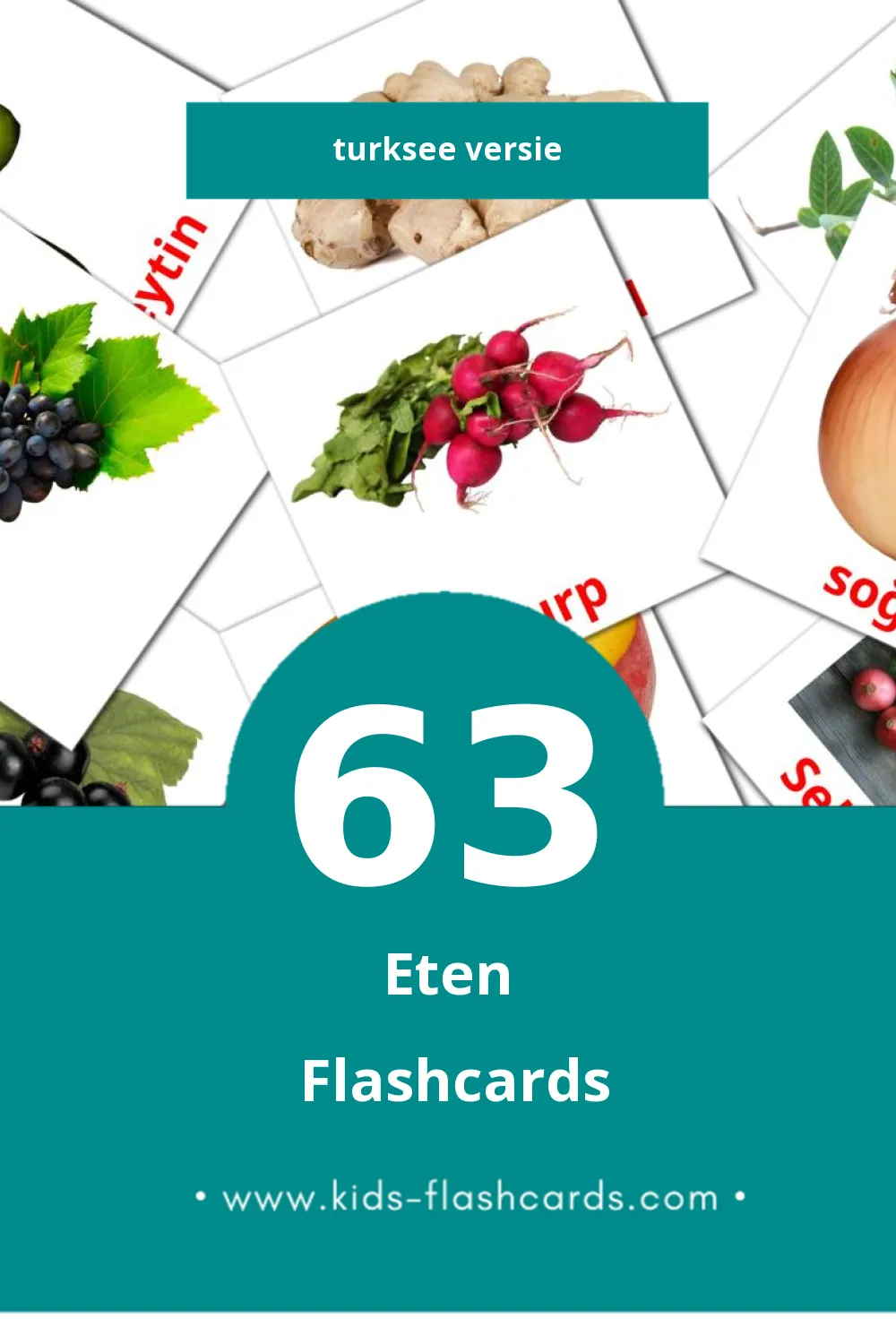 Visuele gıda Flashcards voor Kleuters (63 kaarten in het Turkse)