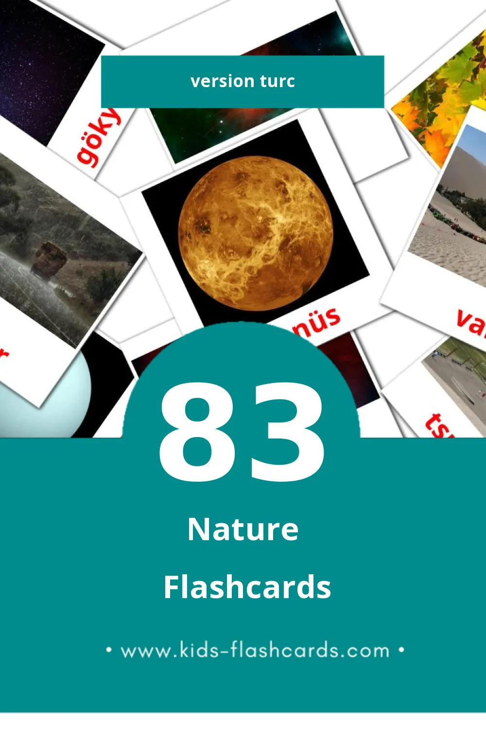 Flashcards Visual Doğa pour les tout-petits (83 cartes en Turc)